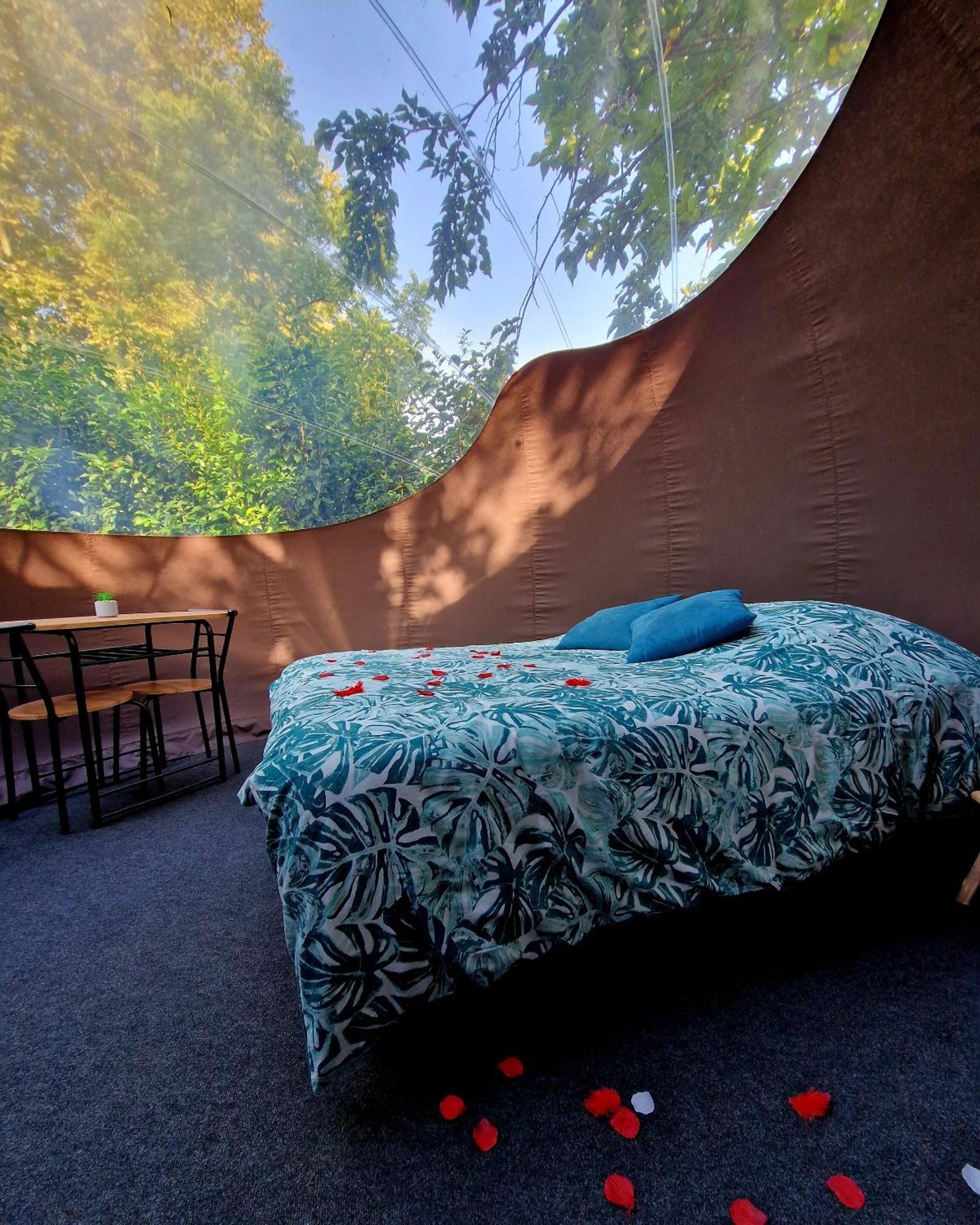 Les Nuits De Cassiopee Bed & Breakfast Sorde-l'Abbaye Bilik gambar